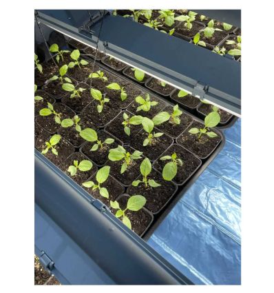 Nappe chauffante horticole