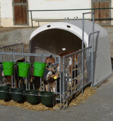 Niche a Veau Collective 5 Places