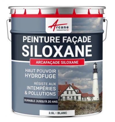 Peinture façade professionnelle