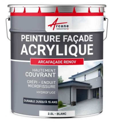 Peinture façade professionnelle