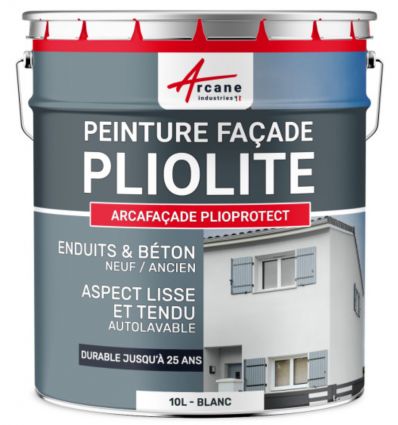 Peinture façade professionnelle