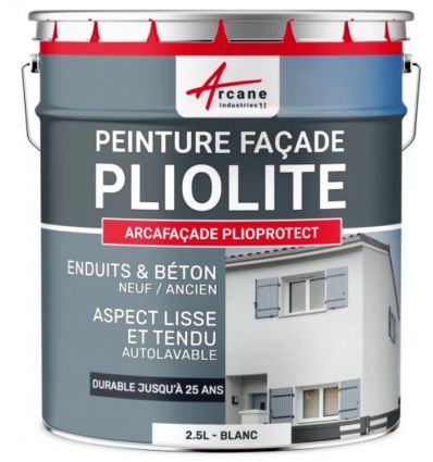Peinture façade professionnelle