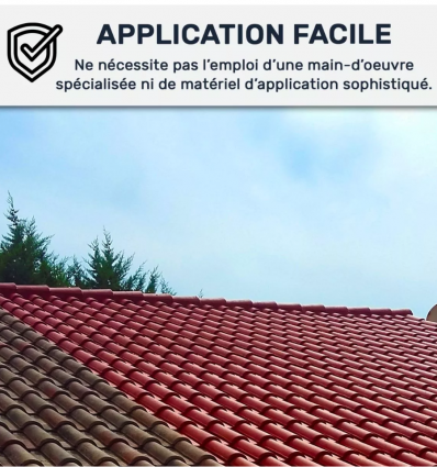 Peinture résine d'étanchéité toiture en pente