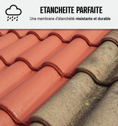 Peinture résine d'étanchéité toiture en pente