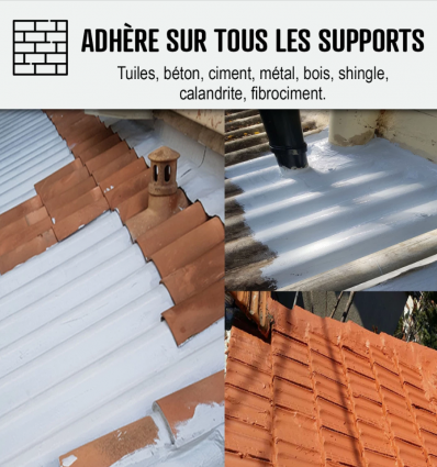 Peinture résine d'étanchéité toiture en pente