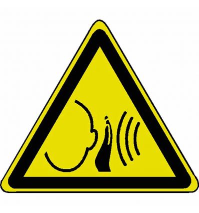 Pictogramme Danger bruit - W038