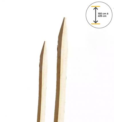 Piquet Acacia pour Cloture Scié et Écorcé