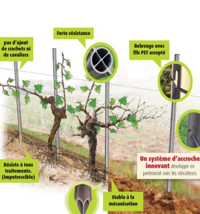 Piquet Vigne PVC (lot de 50)