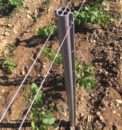 Piquet Vigne PVC (lot de 50)