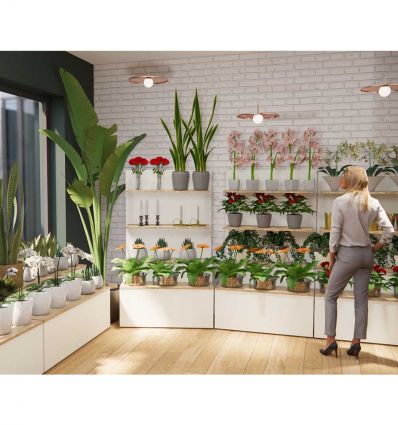Présentoir Fleuriste Professionnel 2 ou 3 Niveaux