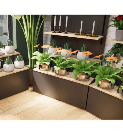 Présentoir Fleuriste Professionnel à Gradins avec Étagères