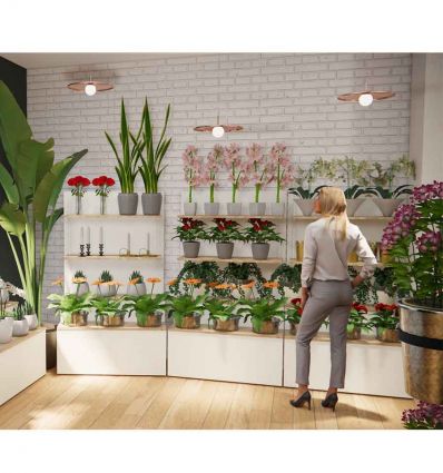 Présentoir Fleuriste Professionnel à Gradins avec Étagères