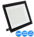 Projecteur LED 100W