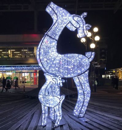 Renne Lumineux professionnel