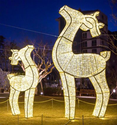 Renne Lumineux professionnel