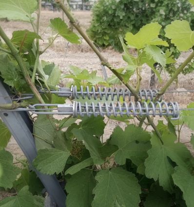 Ressort fil de fer vigne (25 kits)