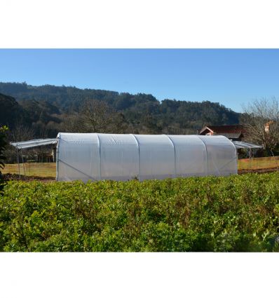 Serre Tunnel Professionnelle Renforcée Largeur 4 m