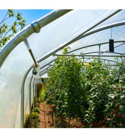 Serre Tunnel Professionnelle Renforcée Largeur 6 m