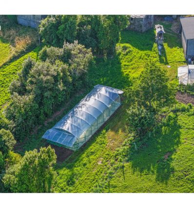 Serre Tunnel Professionnelle Renforcée Largeur 6 m