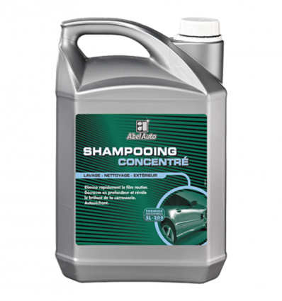 Shampoing carrosserie professionnel