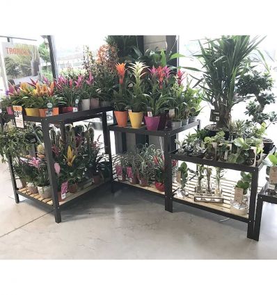 Table de Présentation Fleuriste