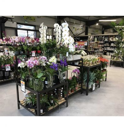 Table de Présentation Fleuriste