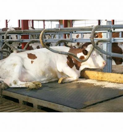 Tapis de Logette en Caoutchouc