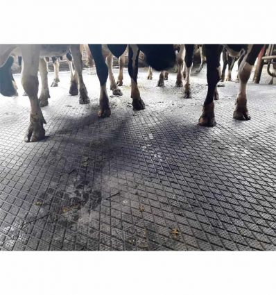 Dalle Caoutchouc Antidérapante pour Passage des Bovins - 100 x 100 cm