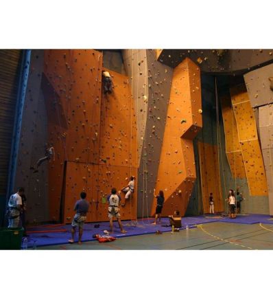 Tapis escalade SAE