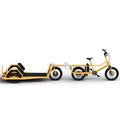 Vélo cargo électrique professionnel